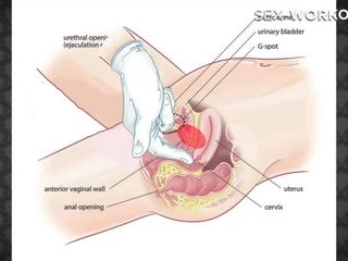 Anale il piacere medico persona
