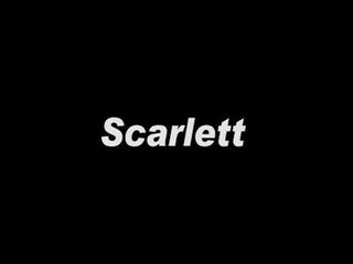 Scarlett 어망 brick 벽